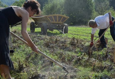Kultura, Tradycja i... Placki 2025
